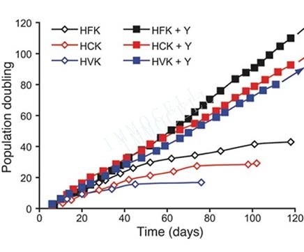 第二课：Rho 激酶抑制剂能够有效永生化人的角质生成细胞