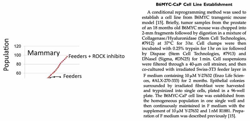 建立C57BL/6 背景的MYC诱导的前列腺肿瘤的小鼠模型和细胞系研究背景图