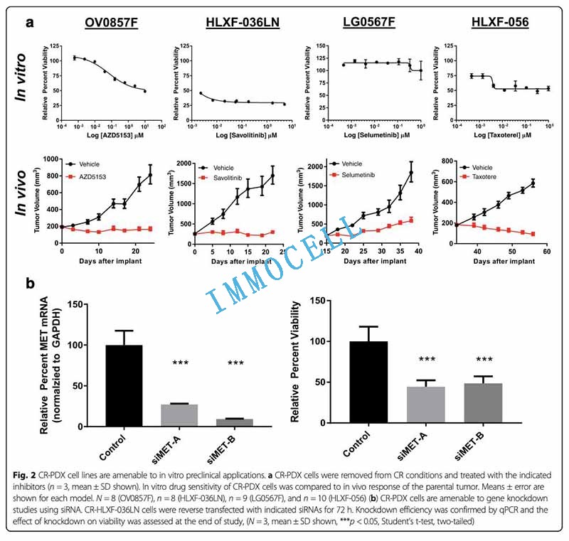 CR-PDX细胞能够用于体外临床前期筛选图