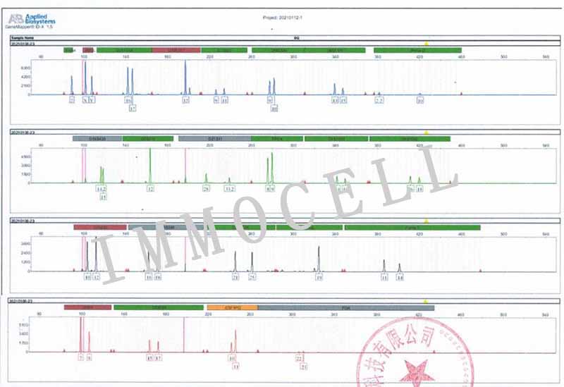 SJSA-1人骨肉瘤细胞STR鉴定图片