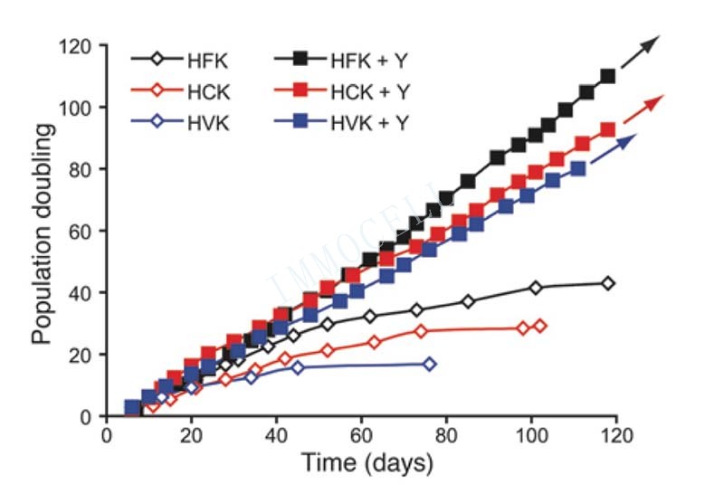 三类细胞的生长曲线图