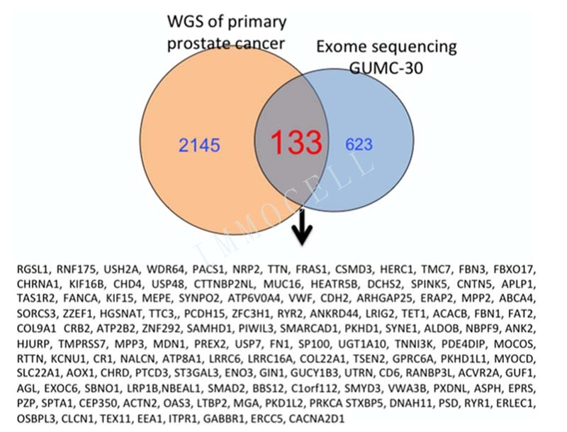 GUMC-30细胞测序和Garraway研究中测序结果重叠的基因图