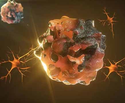 具有突变KRAS基因的癌细胞系研究