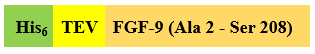 Recombinant Human FGF-9 is expressed from Escherichia coli