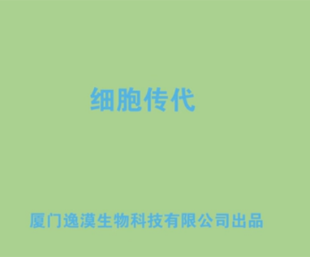 贴壁细胞传代