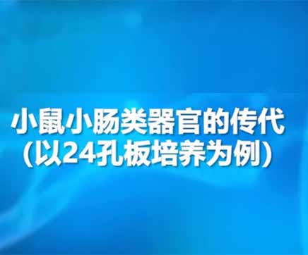 第二节：小鼠小肠类器官传代教程