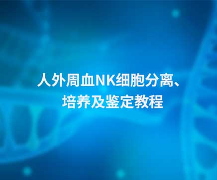 人外周血NK细胞分离、培养及鉴定教程