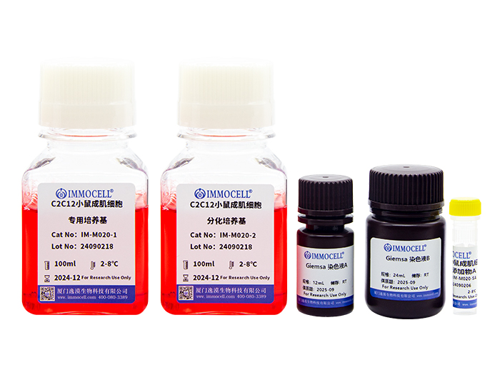 C2C12 成肌细胞成肌管诱导分化培养基试剂盒