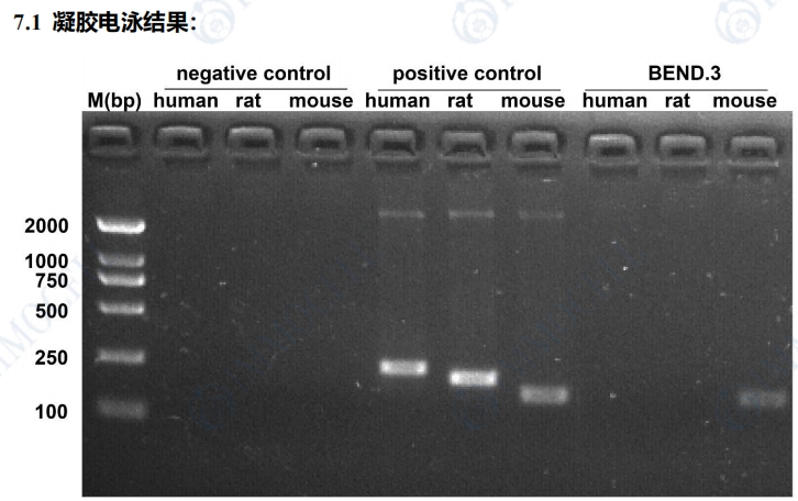 微信截图_20250221114433.jpg