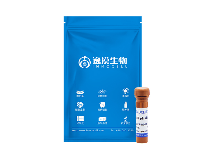 iFluor TM 488 标记鬼笔环肽（绿色）