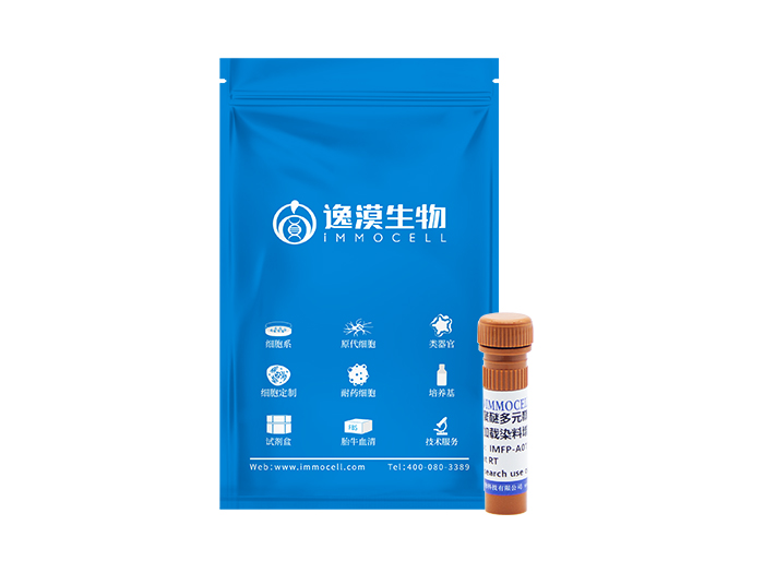 聚醚多元醇（细胞加载染料增强剂）