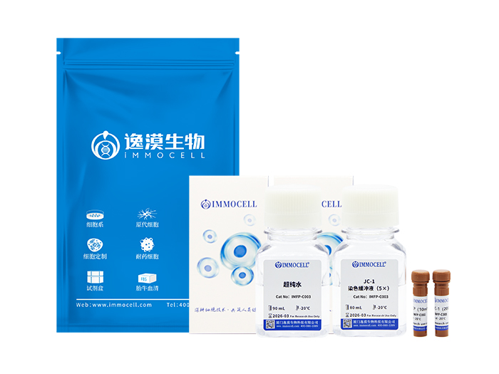 JC-1线粒体膜电位检测试剂盒