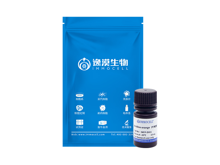 吖啶橙 Acridine orange