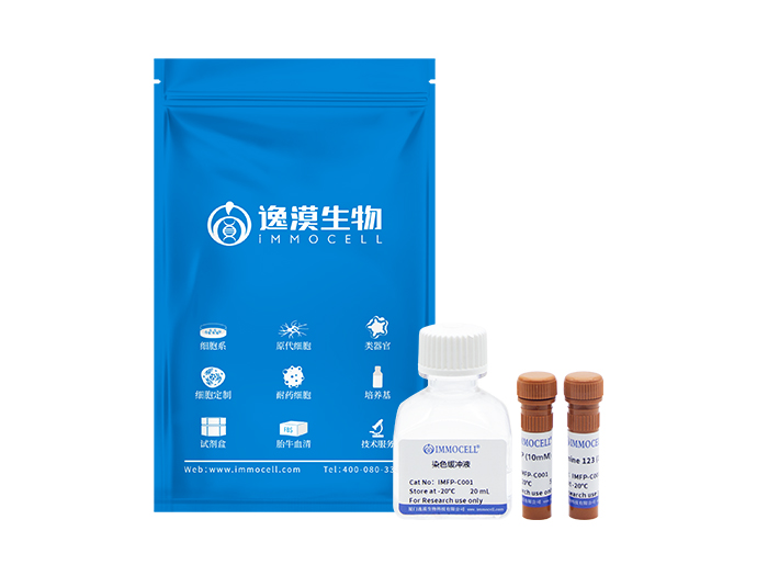 线粒体膜电位检测试剂盒(Rhodamine 123)