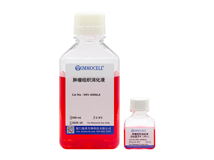 肿瘤组织消化液