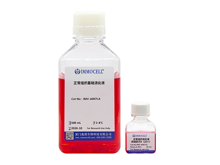 正常组织基础消化液