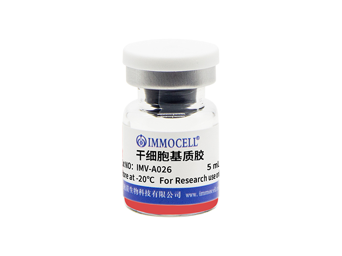 干细胞基质胶