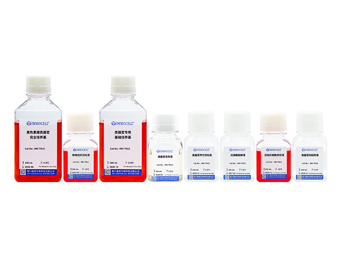 ​黑色素瘤类器官培养试剂盒