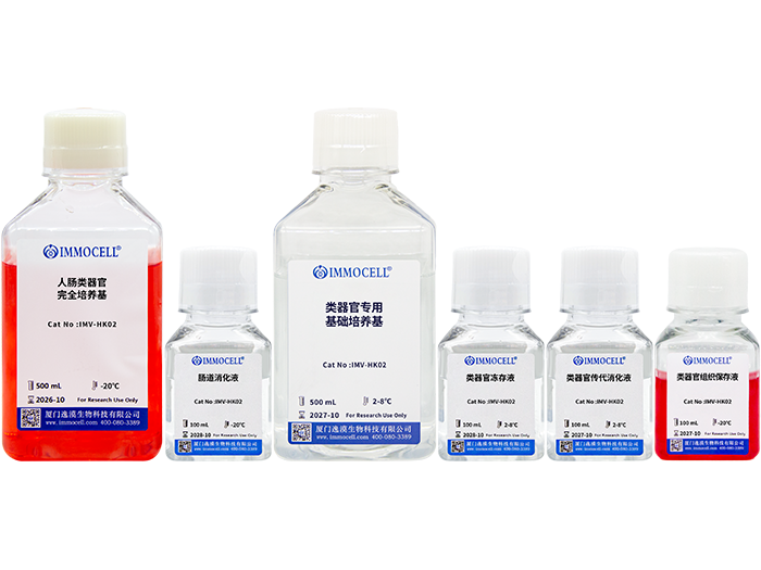 人肠类器官（扩增）原代分离培养套装