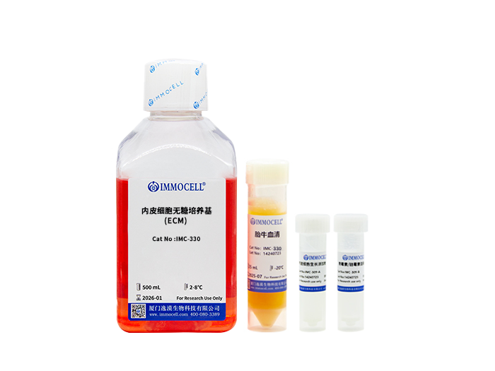 内皮细胞无糖培养基(ECM)