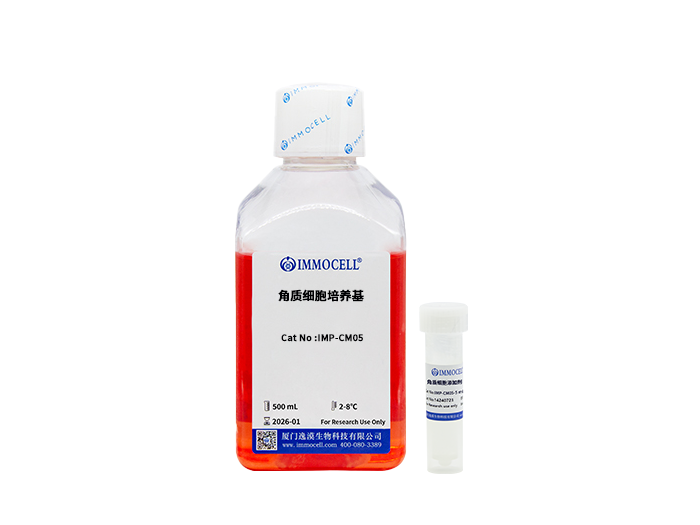 角质细胞培养基