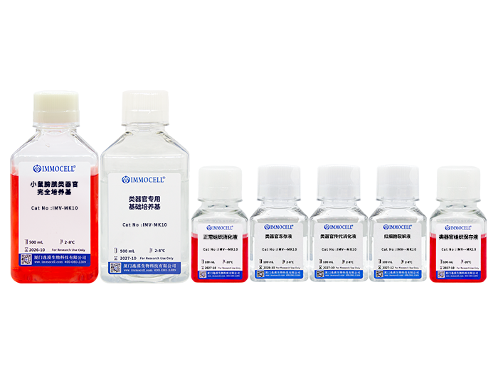 小鼠膀胱类器官原代分离培养套装