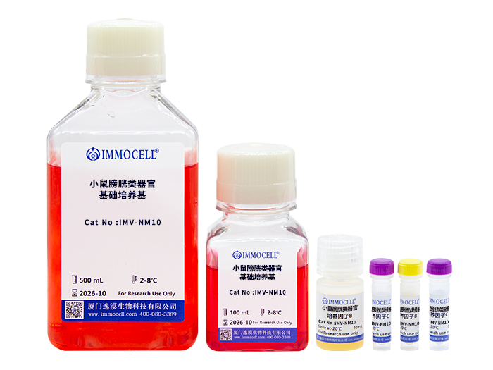 小鼠膀胱类器官完全培养基