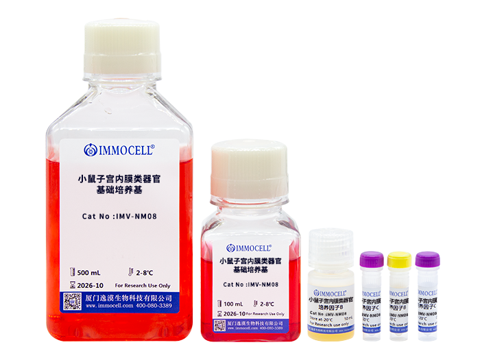 小鼠子宫内膜类器官完全培养基