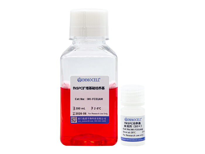 前脑神经干祖细胞(fNSPC)扩增培养基