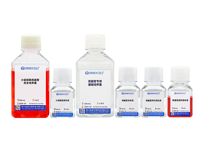 小鼠结肠类器官原代分离培养套装