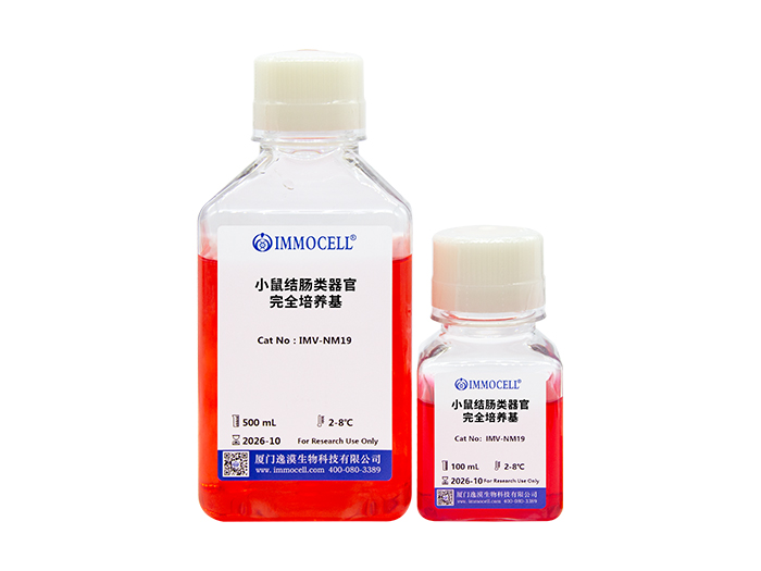 小鼠结肠类器官完全培养基