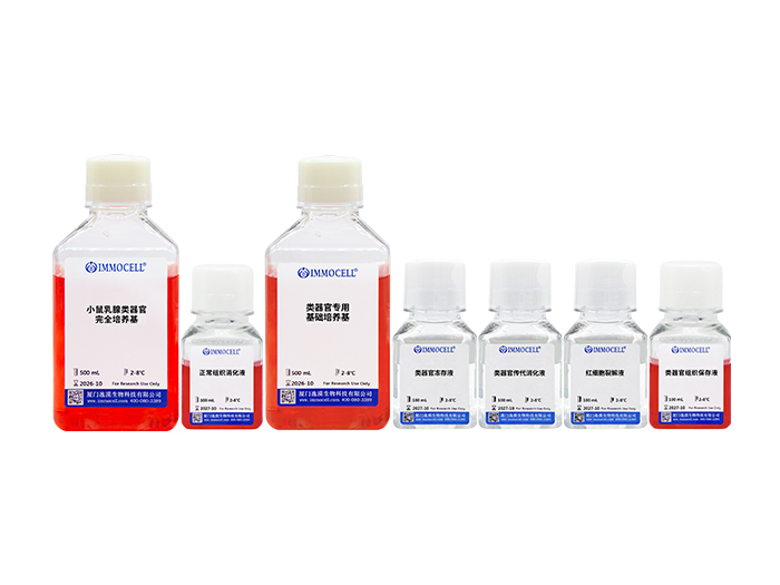 小鼠乳腺类器官原代分离培养套装