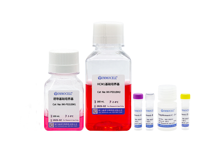 hPSC诱导分化肝实质细胞试剂盒