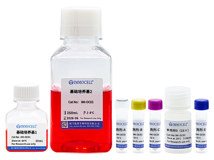 hPSC诱导分化少突胶质前体细胞试剂盒