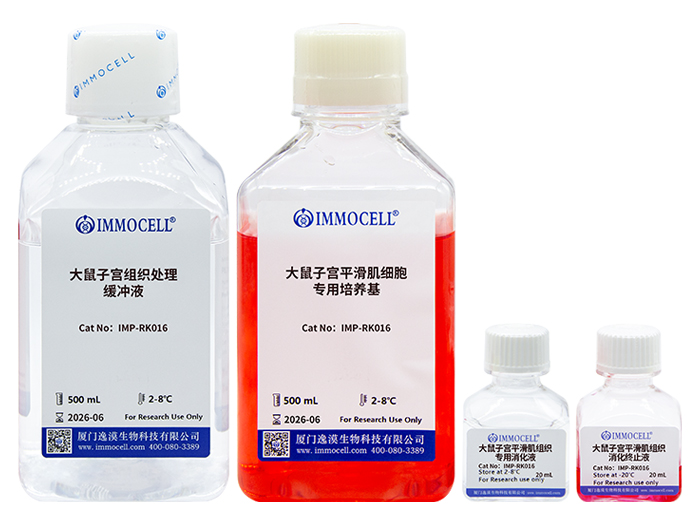 大鼠子宫平滑肌细胞分离试剂盒