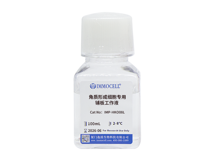 角质形成细胞专用铺板工作液