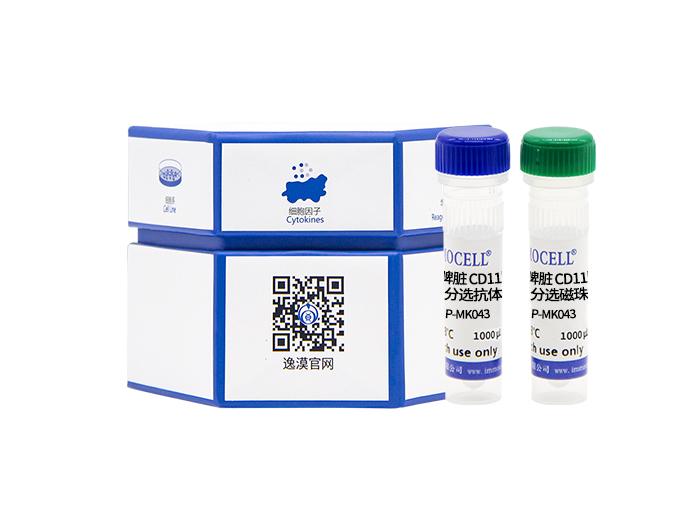小鼠脾脏CD11b+单核细胞分离试剂盒(阴选)