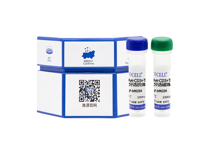 小鼠脾脏naive CD3+T细胞分离试剂盒（阴选）