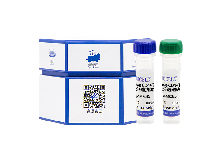 小鼠脾脏naive CD4+T细胞分离试剂盒（阴选）