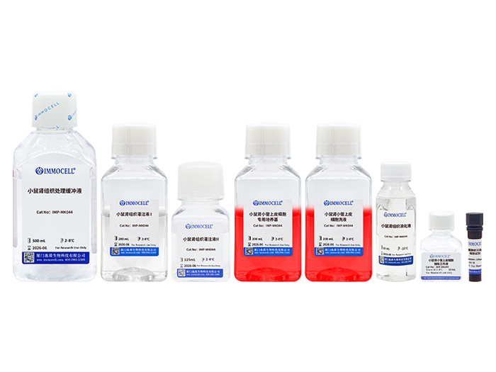 小鼠肾小管上皮细胞分离试剂盒